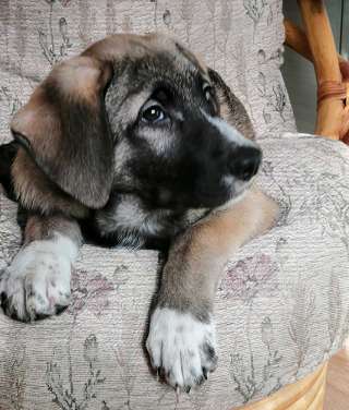 Ищет своего человека