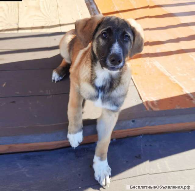 Ищет своего человека