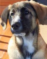 Ищет своего человека