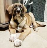 Ищет своего человека