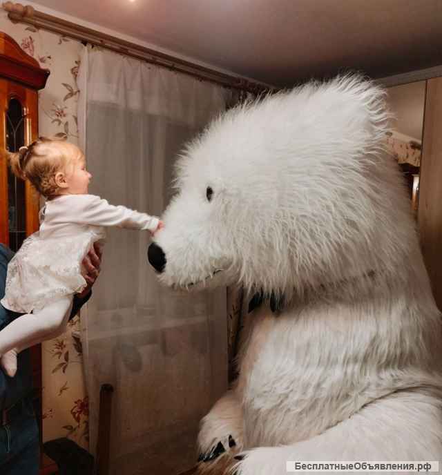 Мишка на праздник поздравление белый / бурый