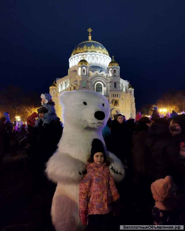 Мишка на праздник поздравление белый / бурый