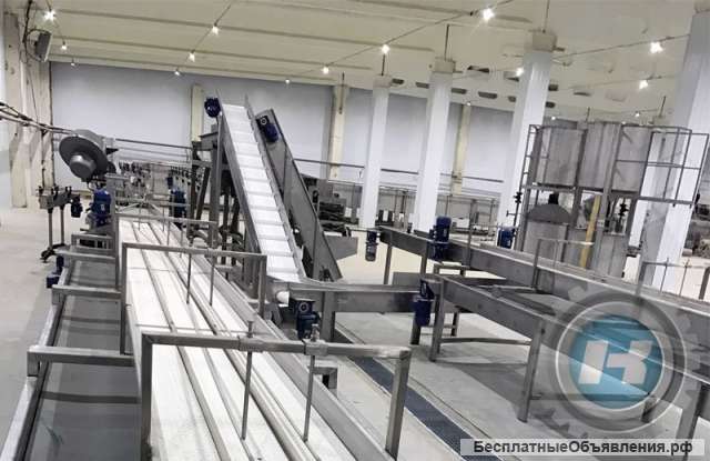 Линия переработки, шинковки капусты, смешивание с солью, морковь