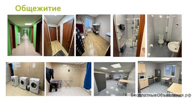 Требуются работники на мясокомбинат вахта