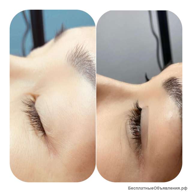 Сертифицированный мастер Бровист