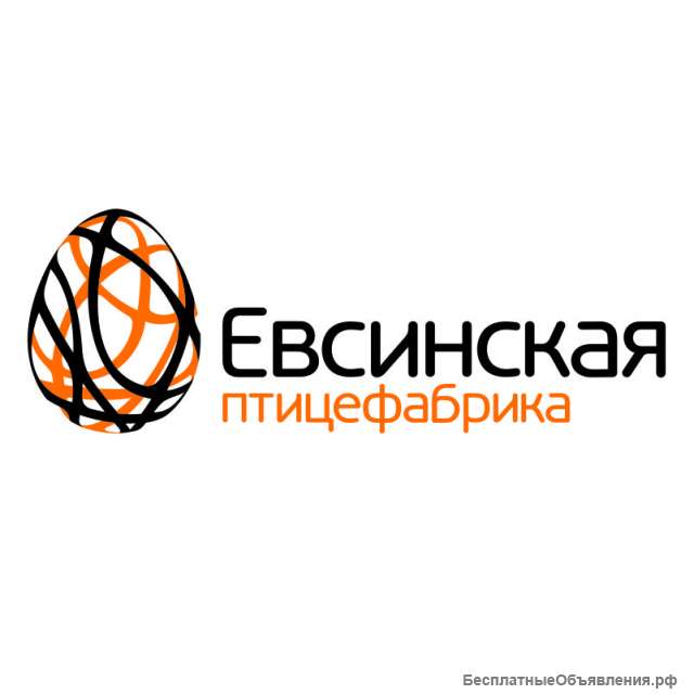 Куры несушки разного возраста от молодки до старки с возможной доставкой