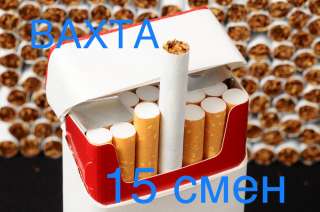 Работа вахтой в Москве с проживанием 15 смен