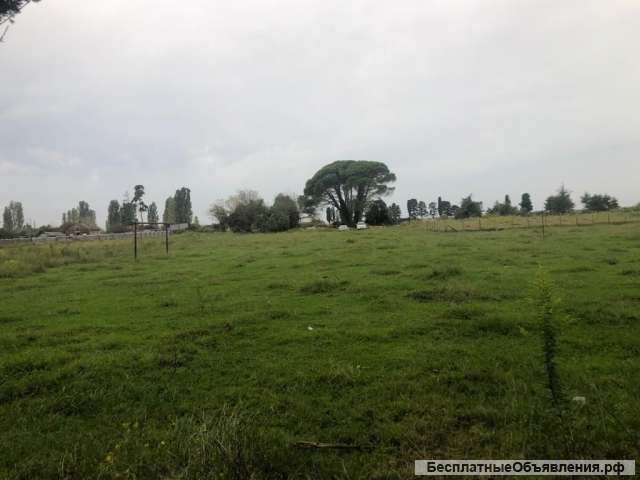 Земельный участок в Алахадзы 30 соток