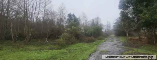 Земельный участок в Сухуме 300 соток