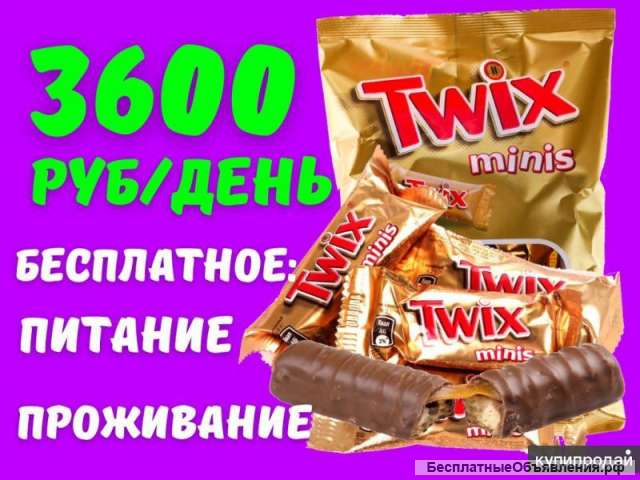 Упаковщик М/Ж вахта Москва 15 смен питание/ проживание