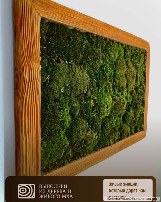 Панно: Живой мох