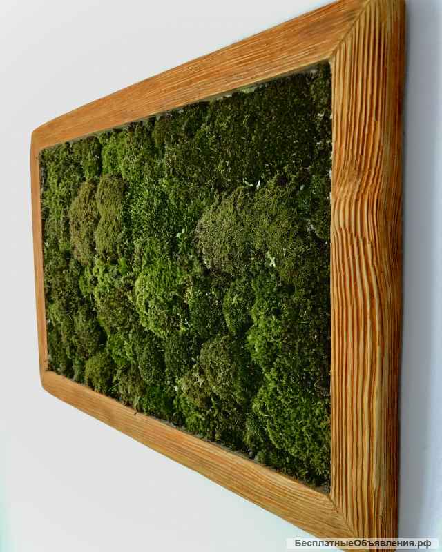 Панно: Живой мох