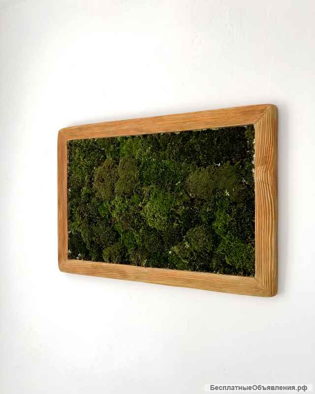 Панно: Живой мох
