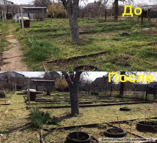 Расчистка участков; Благоустройство; Вывоз мусора: Недорого Воронеж