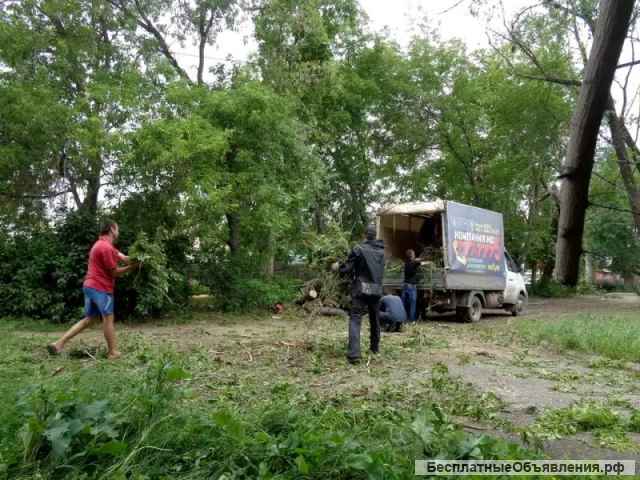 Расчистка участков; Благоустройство; Вывоз мусора: Недорого Воронеж