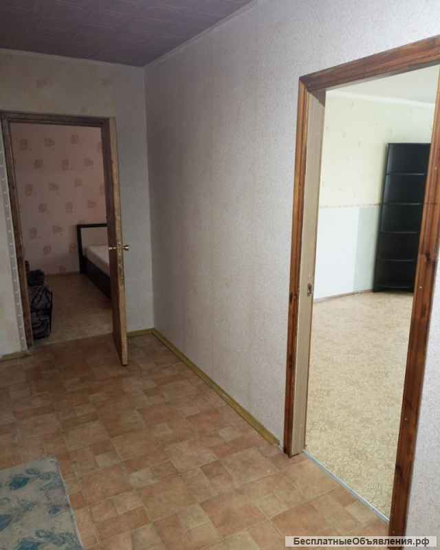 Сдаётся 2-х к квартира Колтуши