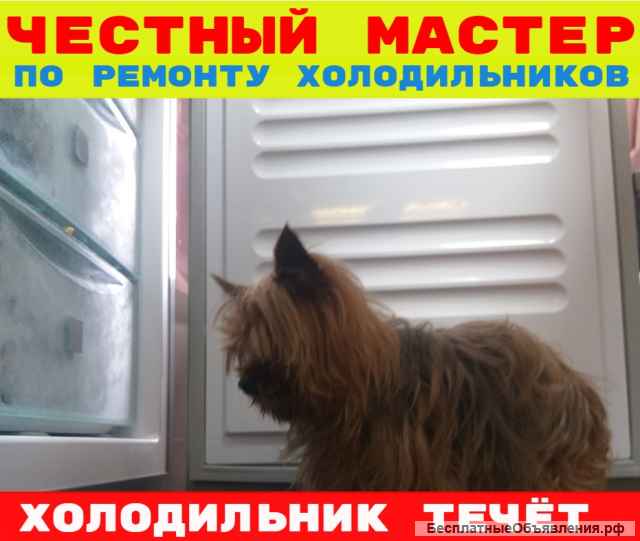 Ремонт холодильников мастер приедет починит холодильник даст гарантию