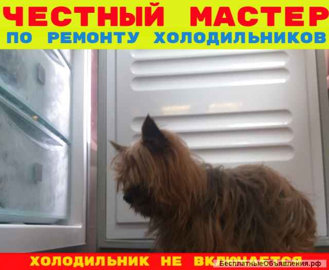 Ремонт холодильников мастер приедет починит холодильник даст гарантию
