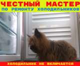Ремонт холодильников мастер приедет починит холодильник даст гарантию