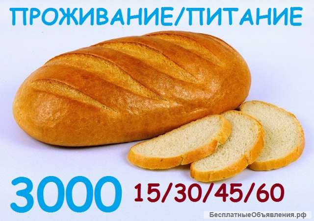 Упаковщик, Вахта, Москва, хлебзавод, 15/30/45/60