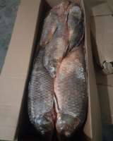 Рыба речная астраханская от производителя