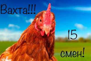 Вахта с питанием и проживанием от 15 смен в Москве, работа мечты