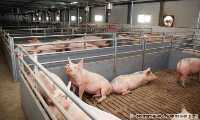 Разнорабочий на производство