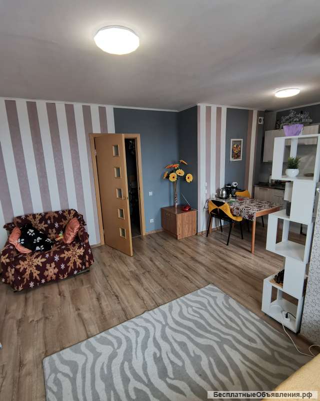 Отличная студия в Металлострое