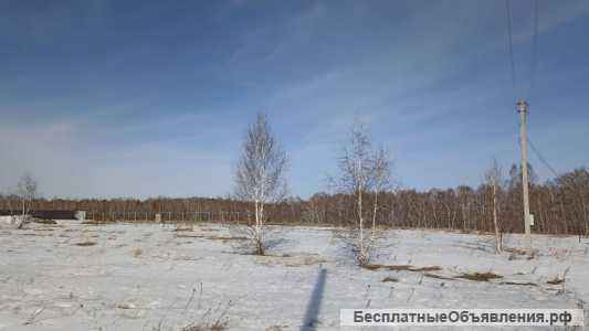 8 сот. с.Быстровка Экопарк