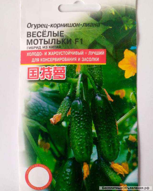 Семена супеогурцов