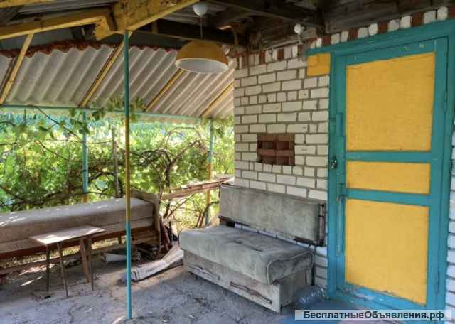 Любимую дачу