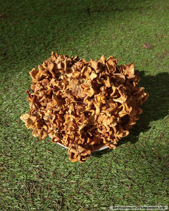 Сушёные грибы лисички