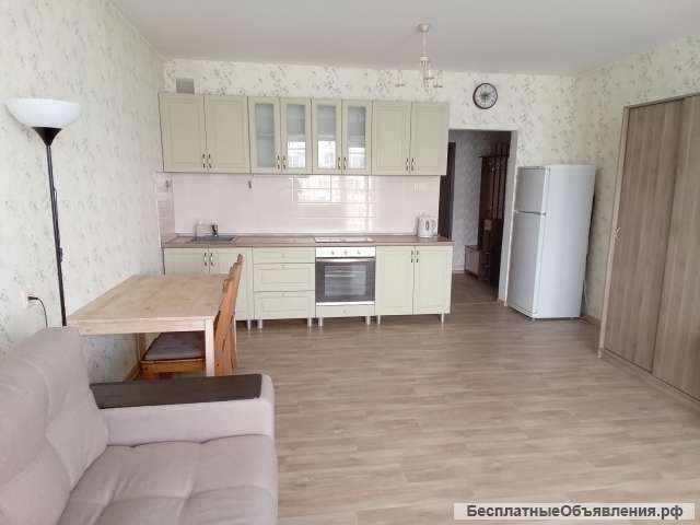 Сдам студию