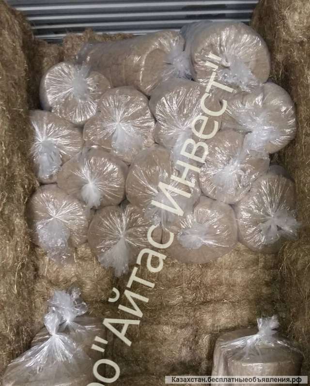 Джут Астана. Джут Алматы. Джут Актобе. Джут Актау. Джут Атырау. Джут Костанай. Джут Караганда. Джут