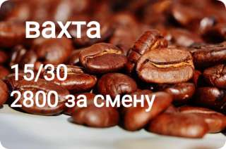 Упаковщик вахта 15/30 с проживанием