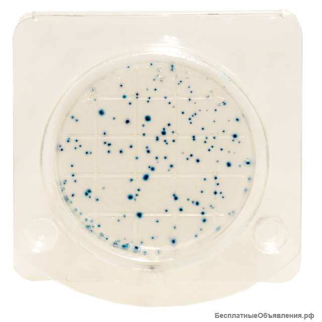 Экспресс-тест на определение БГКП колиформные бактерии в т. ч. Escherichia coli (петритест)