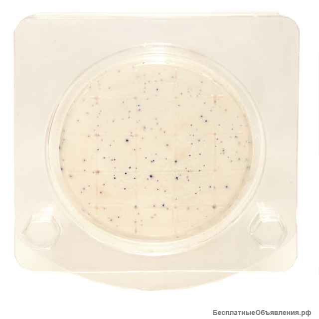 Экспресс-тест на определение БГКП колиформные бактерии в т. ч. Escherichia coli (петритест)