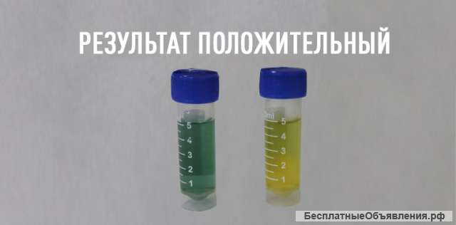 Экспресс-тест на БГКП в жидкостях (петритест)