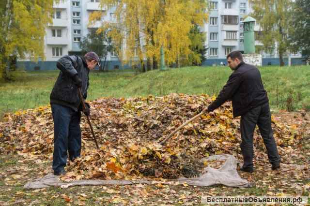 Уборка территории, ремонт придомовых построек, услуги разнорабочих, озеленение, копка