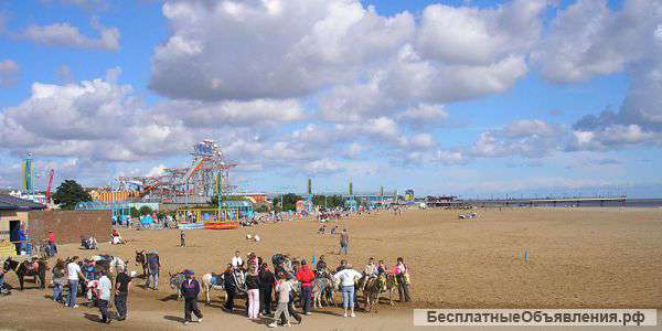 Программа обучения английскому языку в Англии Safari and Fun