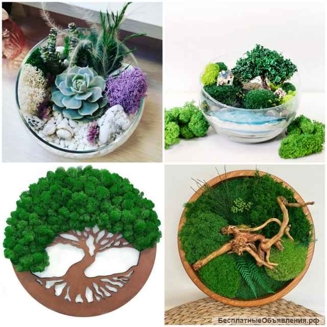 Мастер-класс по созданию флорариума своими руками