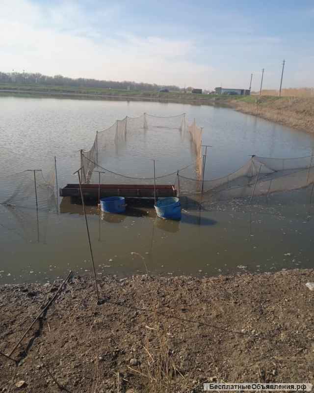 Снасти для рыбы и рака