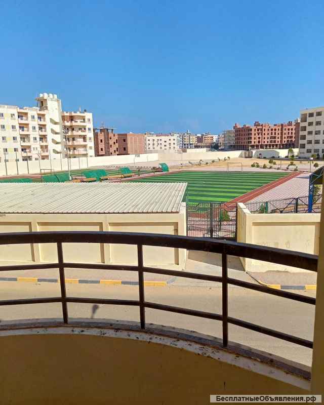 Квартира с бассейном в тихом районе Хургады (Египет)