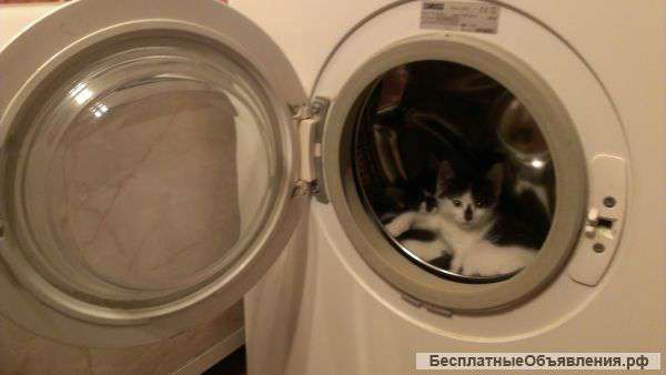 Отдам в добрые руки