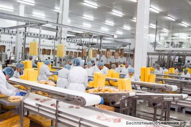 Упаковщик/ обработчик куриных полуфабрикатов на птицефабрику