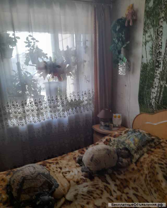 3-х комнатная квартира в историческом центре Тюмени