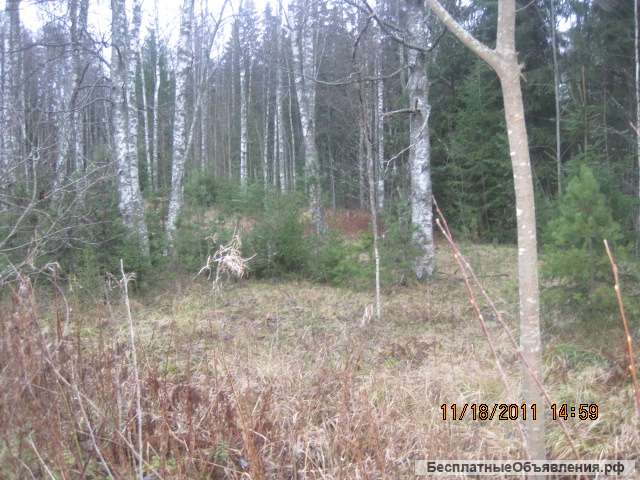 Участок 20 соток, хутор Озерное (20 км от Выборга)