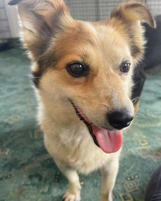 Джули-ласковое солнышко