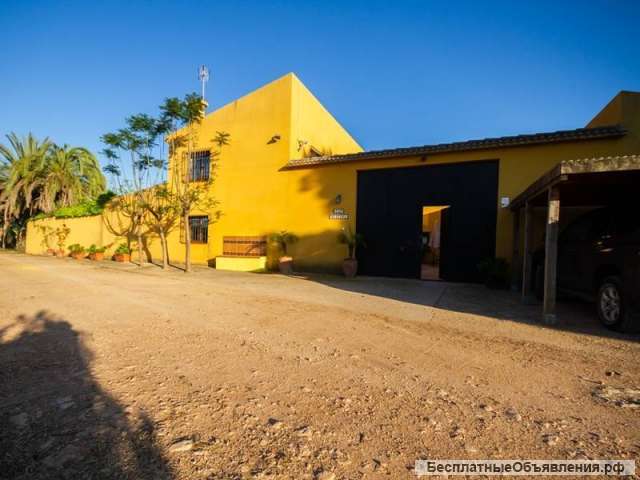 Испания. Вилла с апельсинами под Валенсией