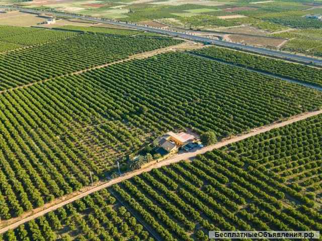 Испания. Вилла с апельсинами под Валенсией